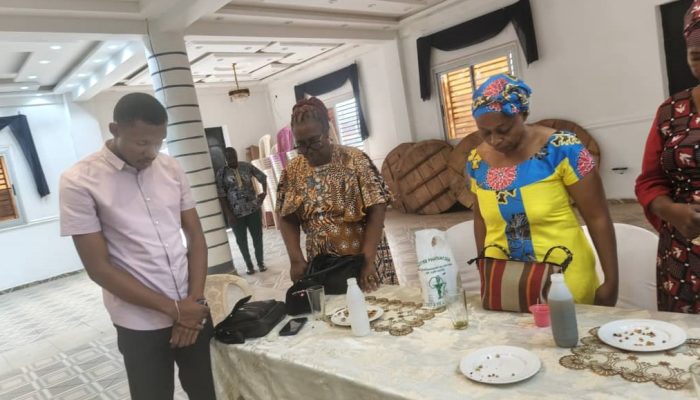 Séance de travail élargie aux commissions paroissiales